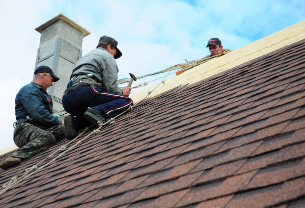 Best Storm Damage Roof Repair  in Arnold, PA